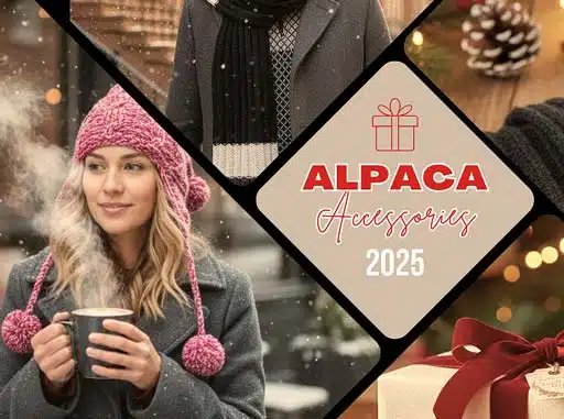 Cozy Winter Accessories